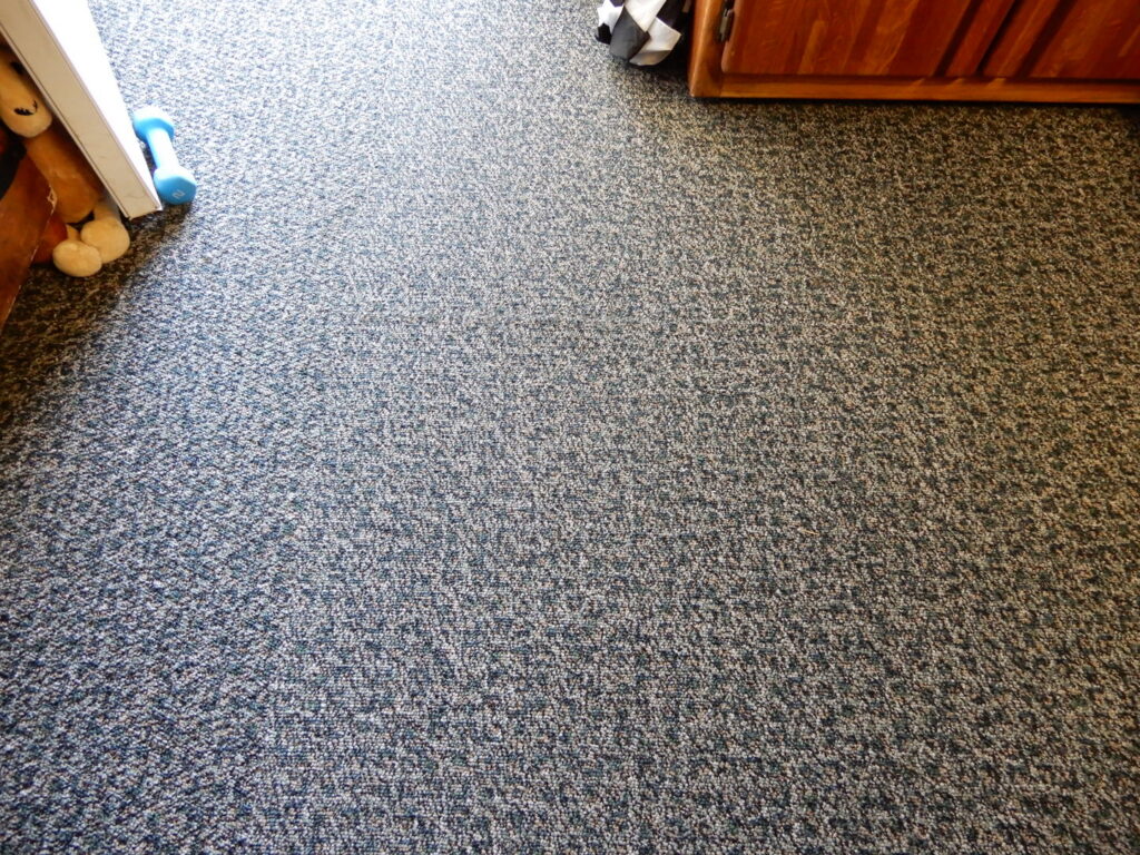 A clean, speckled blue and grey carpeted floor, maintained by Achilles Carpet Cleaning in Vancouver, WA.