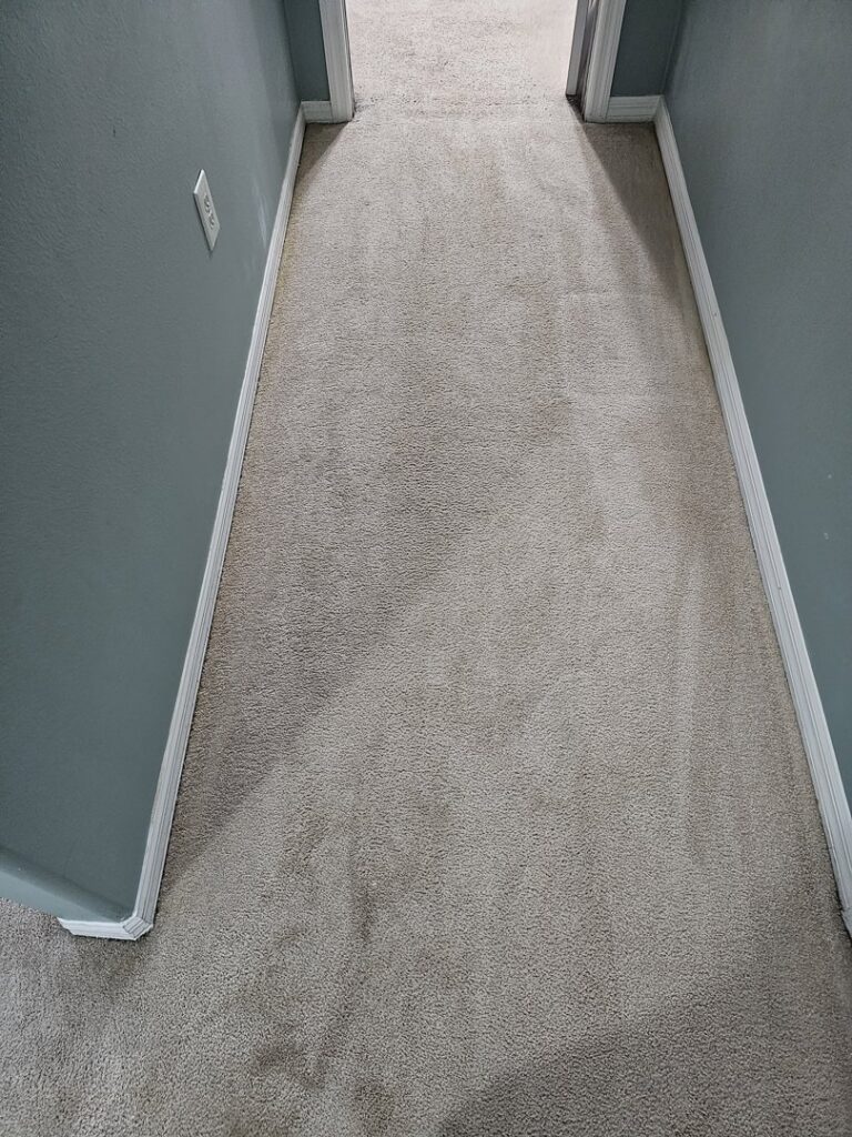 A clean carpeted hallway with fresh cleaning lines after service by CitruSolution Carpet & Upholstery Cleaning of Orlando, FL