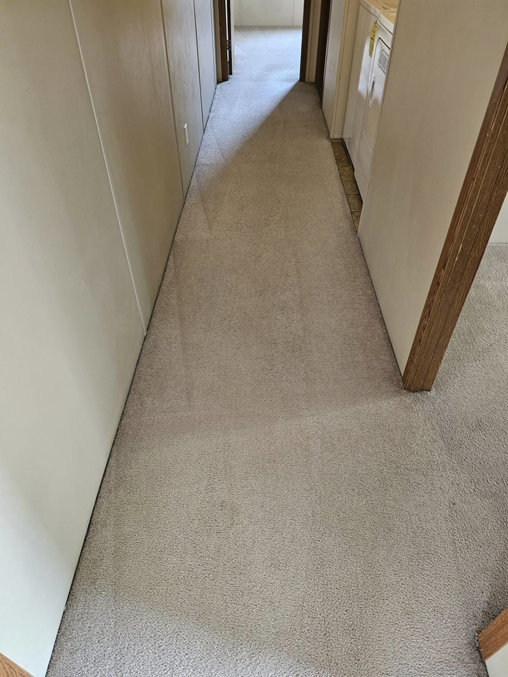 A freshly cleaned carpeted hallway after professional service by Peterson's Carpet & Air Duct Cleaning in Dickinson, ND.
