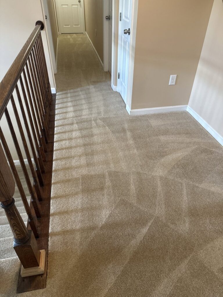 A clean carpeted hallway showing distinct cleaning patterns after service by USA Clean Master in Baltimore, MD