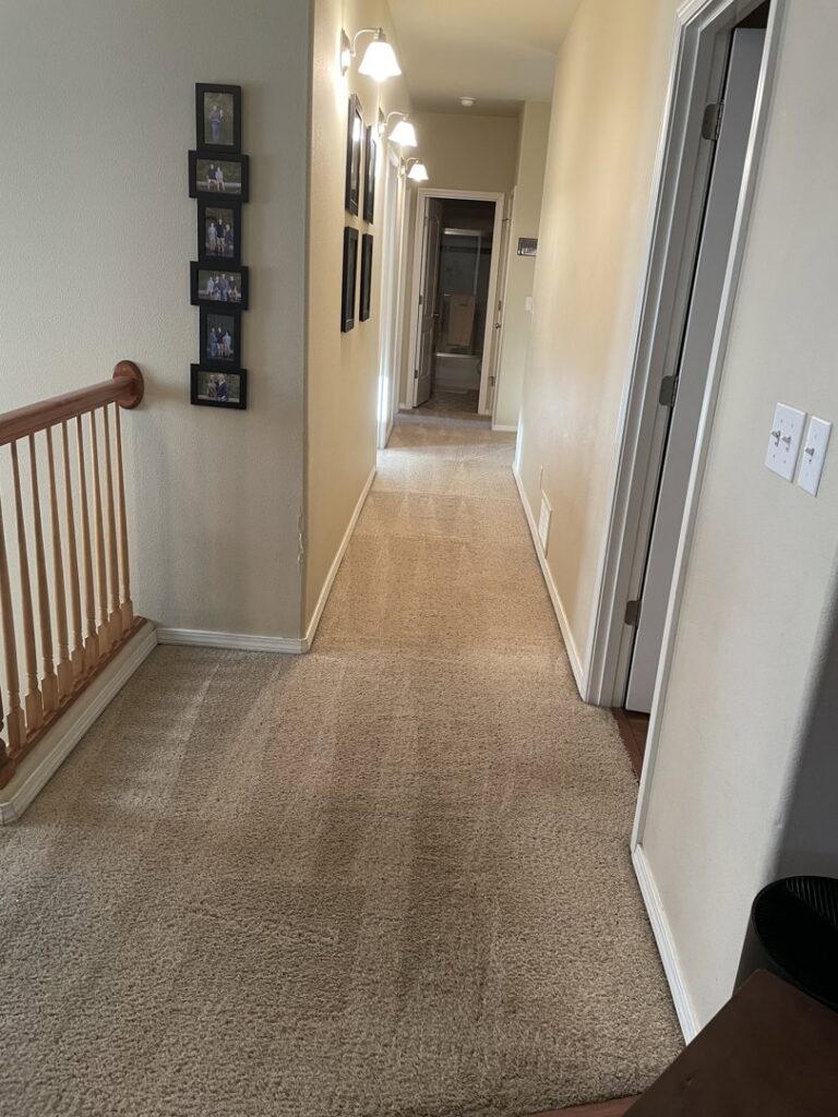 A freshly cleaned carpeted hallway by Allen Rapid Dry Carpet Cleaning in Anchorage, AK.