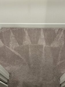 A freshly cleaned carpeted hallway showing cleaning patterns by California Xtreme Steam in Sacramento, CA