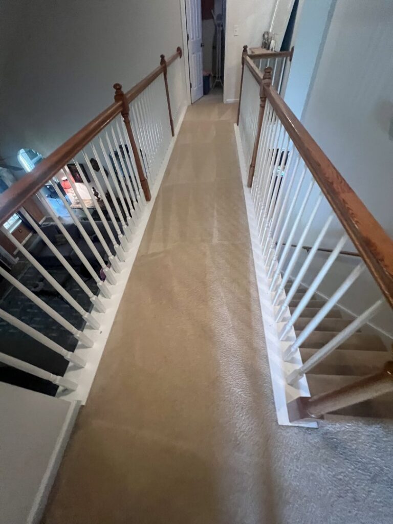 A freshly cleaned carpeted hallway and stairs by Drew's Cleaning and Restoration in Jamestown, NC.