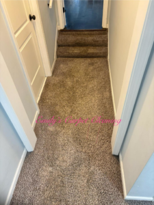 A freshly cleaned carpeted hallway and stairs by Emily's Auto Detailing & Carpet Cleaning LLC in Hammond, IN.