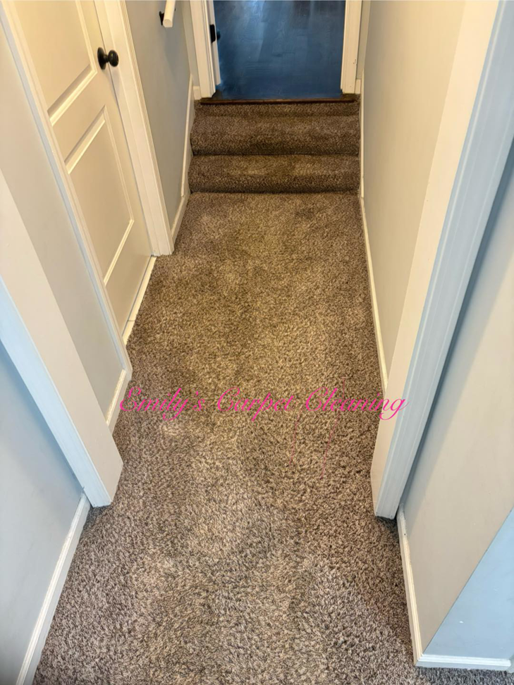 A freshly cleaned carpeted hallway and stairs by Emily's Auto Detailing & Carpet Cleaning LLC in Hammond, IN.