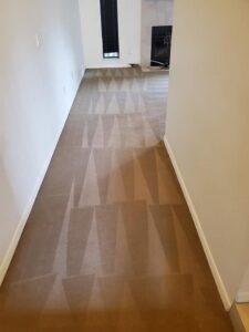 A clean carpeted hallway showing distinct cleaning lines after service by Tampa Steam Team in Plant City, FL.