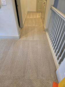 A freshly cleaned carpeted hallway with visible cleaning lines by United Carpet Cleaning in Taylorsville, UT.