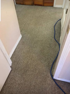 A clean carpeted hallway with a blue cleaning hose, indicating professional carpet cleaning by Beagle & Boy Carpet Cleaning in Bentonville, AR.