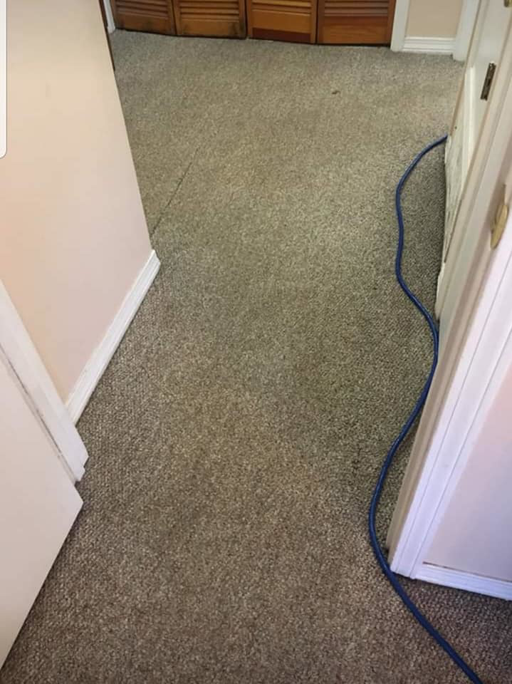 A clean carpeted hallway with a blue cleaning hose, indicating professional carpet cleaning by Beagle & Boy Carpet Cleaning in Bentonville, AR.