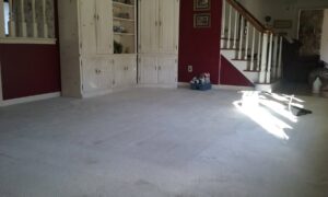 A clean, light-colored carpeted room after professional cleaning by Glory Carpet Cleaning Service in East Hartford, CT.
