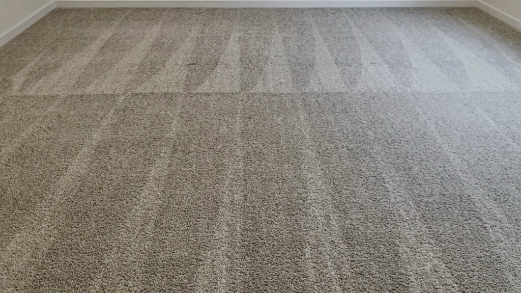A clean carpeted room showing distinct cleaning patterns from CitruSolution Carpet Cleaning in Richmond, VA.