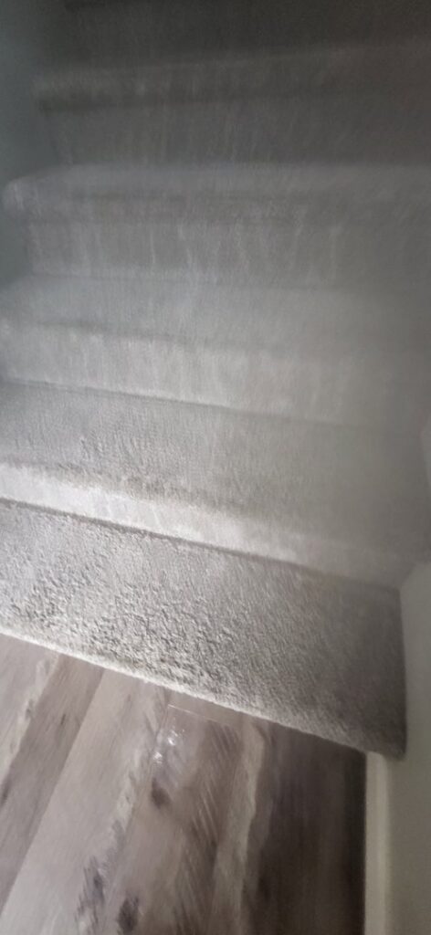 A freshly cleaned carpeted staircase, showcasing the results of Achilles Carpet Cleaning in Vancouver, WA.