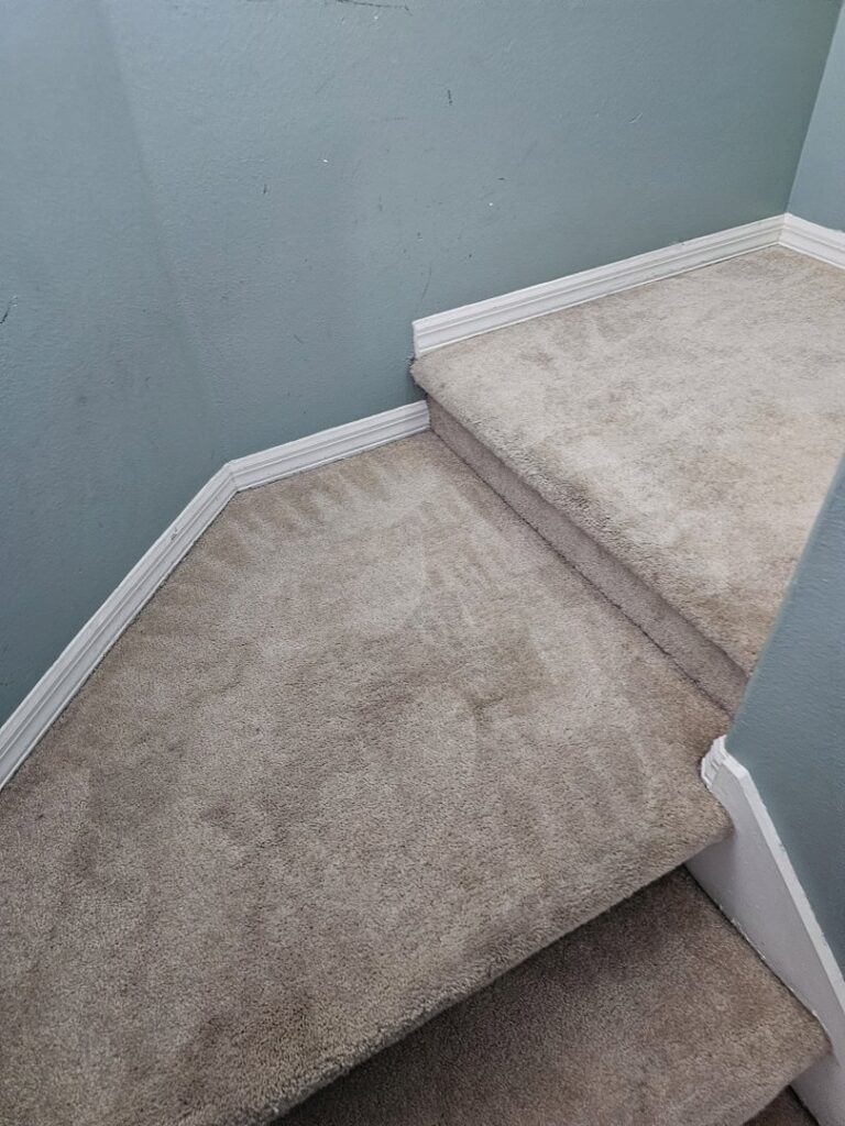A clean carpeted staircase with fresh cleaning lines after service by CitruSolution Carpet & Upholstery Cleaning of Orlando, FL