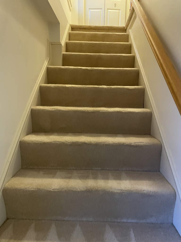 A freshly cleaned carpeted staircase by Express Cleaning in Lowell, MA