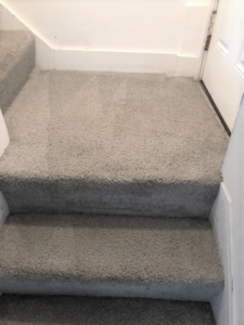 Freshly cleaned carpeted stairs after service by Rochester Cleanpro in Rochester, NY.