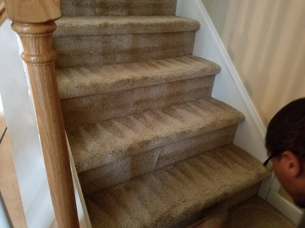 Freshly cleaned carpeted stairs with visible cleaning lines by All Out Carpet Cleaning in Kailua Kona, HI.