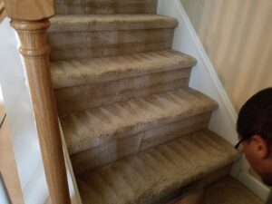 Freshly cleaned carpeted stairs with visible cleaning lines by All Out Carpet Cleaning in Kailua Kona, HI.