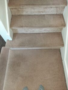 A clean, carpeted staircase after professional cleaning by Complete Carpet Care in Fort Wayne, IN.