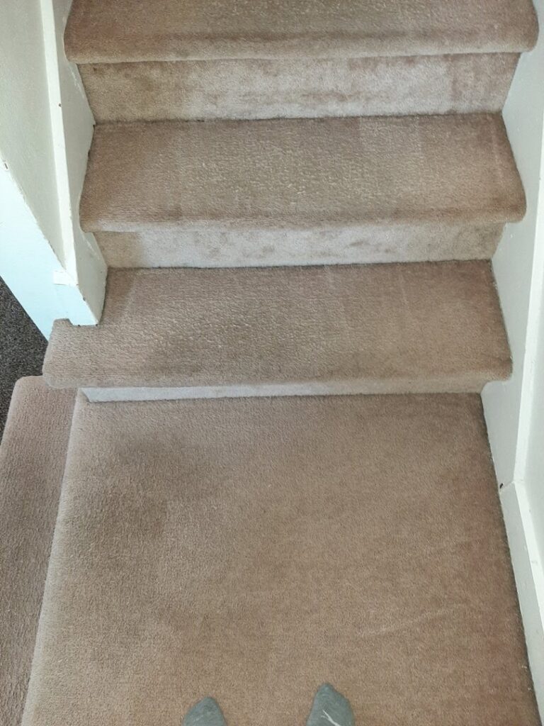A clean, carpeted staircase after professional cleaning by Complete Carpet Care in Fort Wayne, IN.