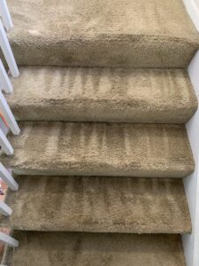 Freshly cleaned carpeted stairs showing distinct cleaning lines by GTS future cleaning services in Los Angeles, CA