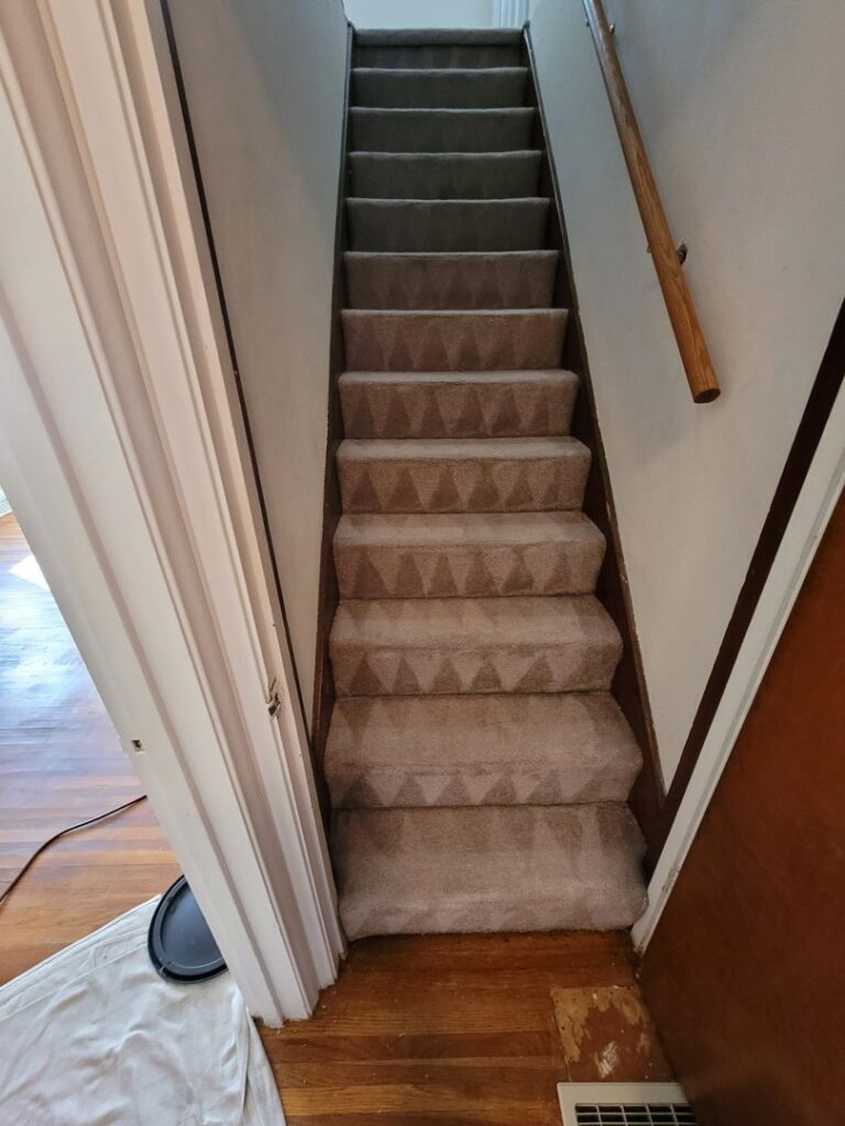 Freshly cleaned carpeted stairs with distinct cleaning lines by Hartford's Carpet Cleaning in Toledo, OH