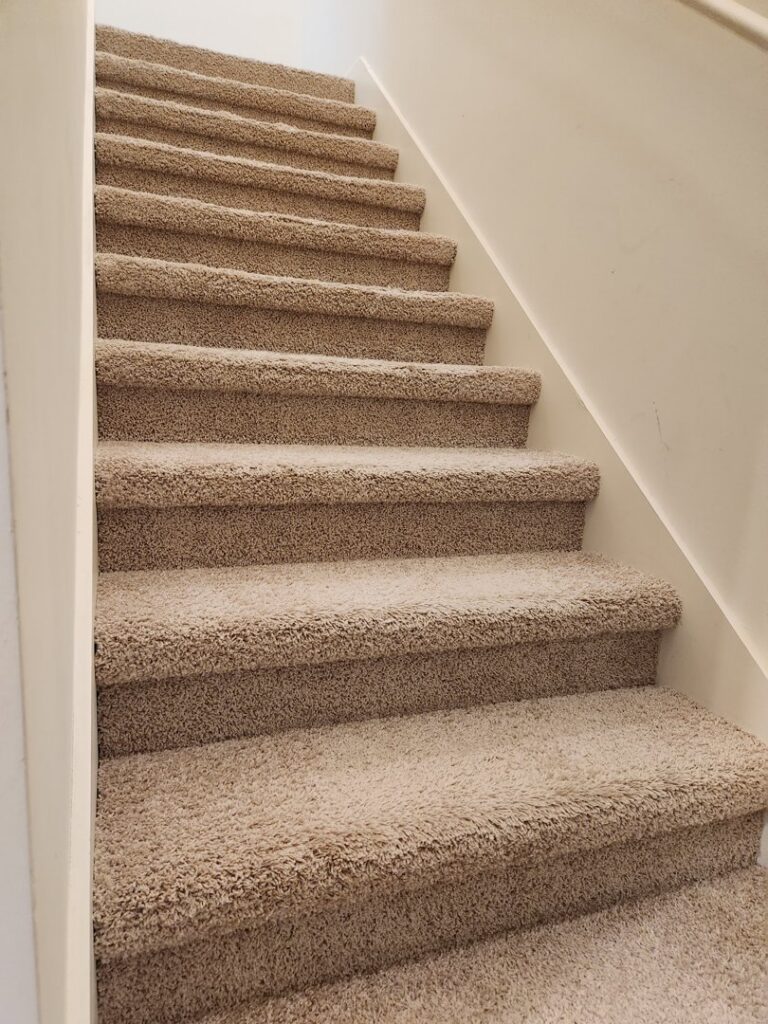 Cleaned carpeted stairs with visible cleaning patterns by Reynolds Carpet Care in Henrico, VA.