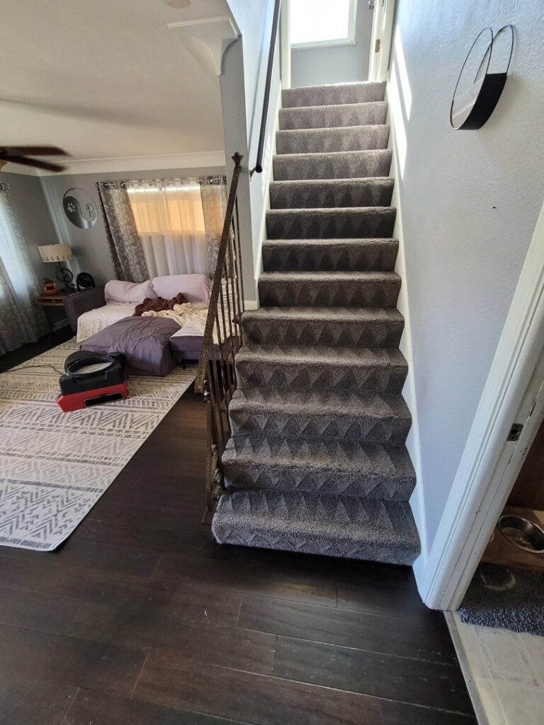 Freshly cleaned carpeted stairs and an area rug drying in a living area by Hartford's Carpet Cleaning in Toledo, OH