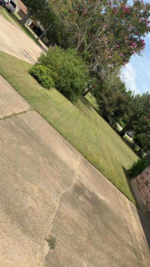 A clean-cut lawn with trimmed bushes, showcasing Minors lawn care service in Canton, OH.