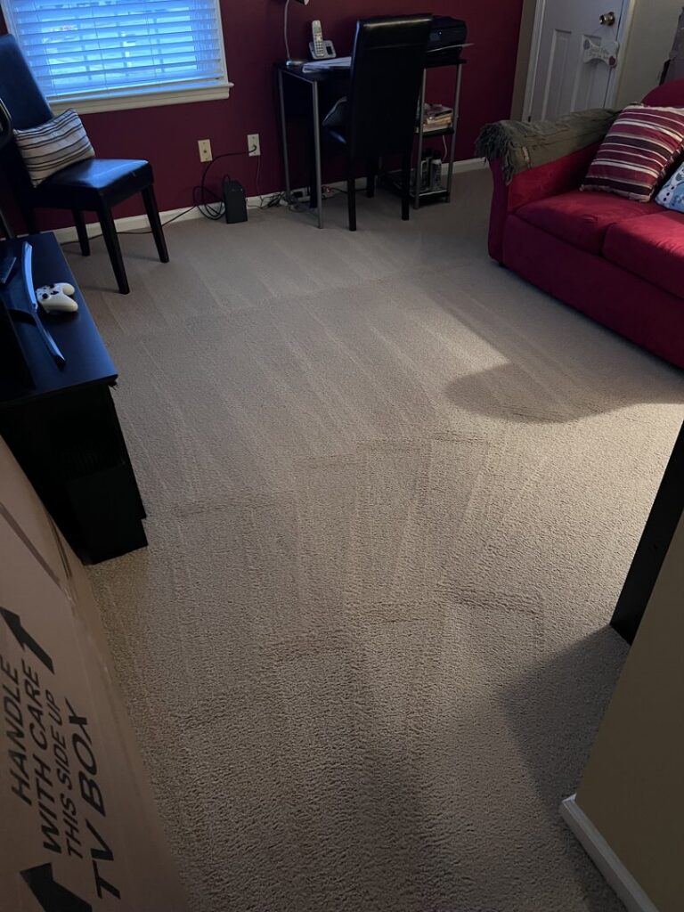 A clean dark brown hallway carpet with visible cleaning lines after professional service by Hampton Carpet Cleaning Pros in Hampton, VA.