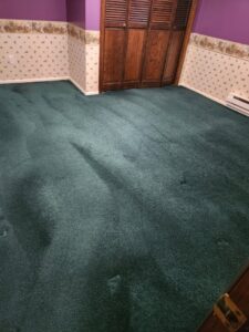 A clean dark green carpet with visible cleaning lines after service by Heaven's Best Carpet Cleaning Idaho Falls ID.