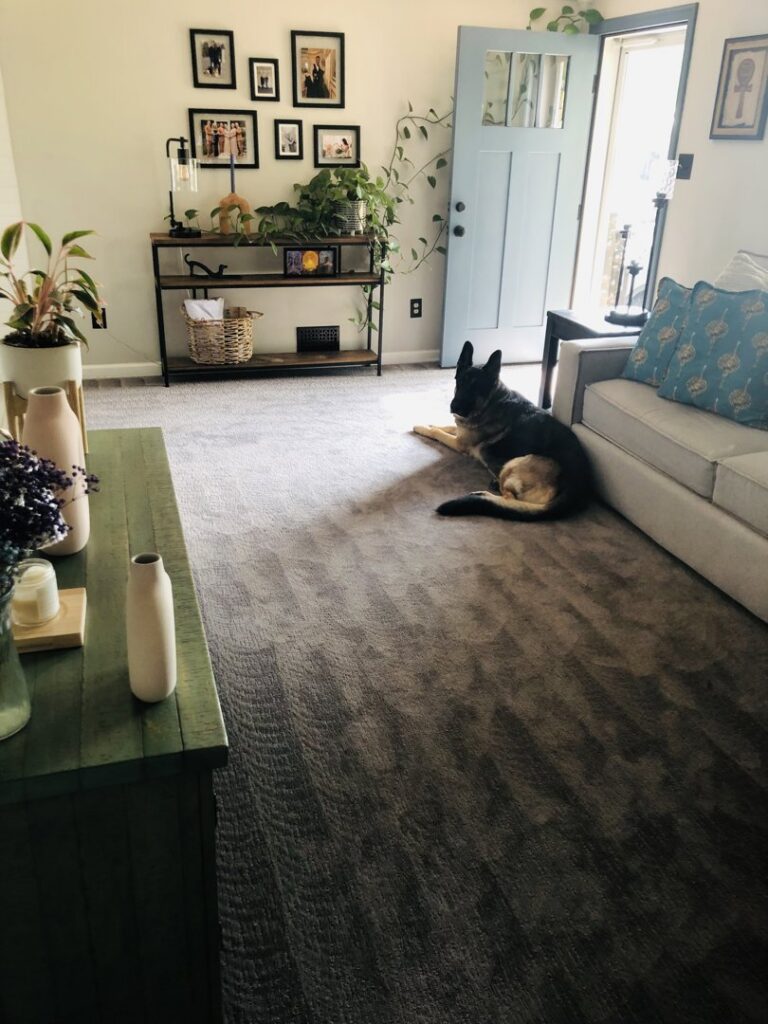 A clean dark grey carpet in a living room, showing fresh cleaning lines after service by KANDE Carpet Cleaning in Pittsburgh, PA.