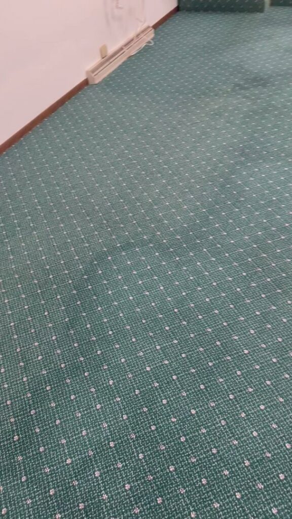 A clean green patterned carpet, showcasing the meticulous cleaning service by Super Duper Carpet & Duct Cleaning in Pittsburgh, PA.