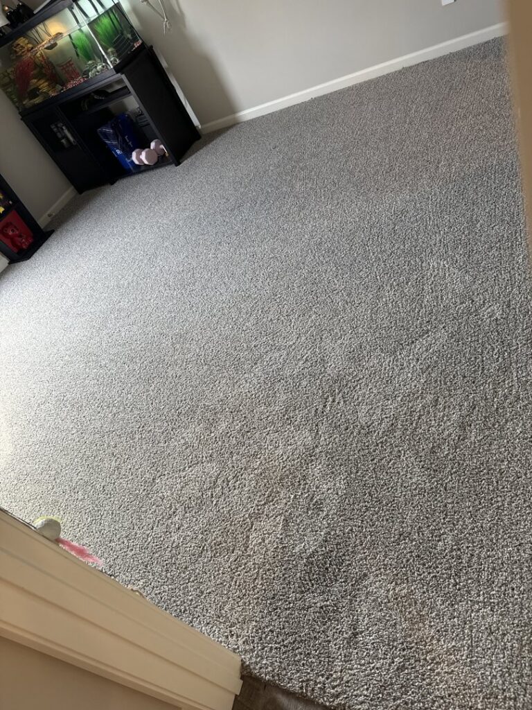 A clean grey carpet in a room with an aquarium, reflecting the service of Safe-Dry Carpet Cleaning of Clarksville, TN