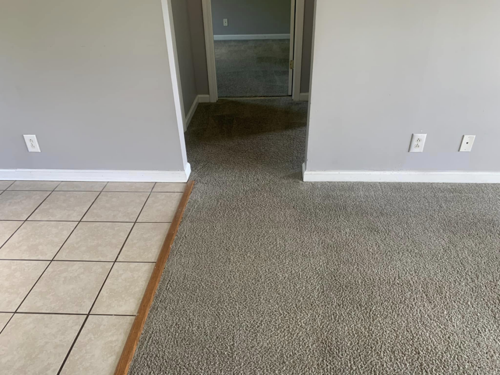 Freshly installed clean grey carpet in a residential room by Briggs Cleaning in Clarksville, TN.