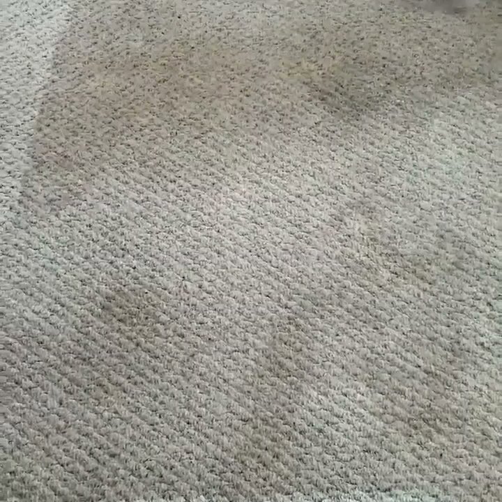 A close-up of a grey carpet showing a clean strip after service by New Dawn's Carpet Cleaning in Cicero, IL.