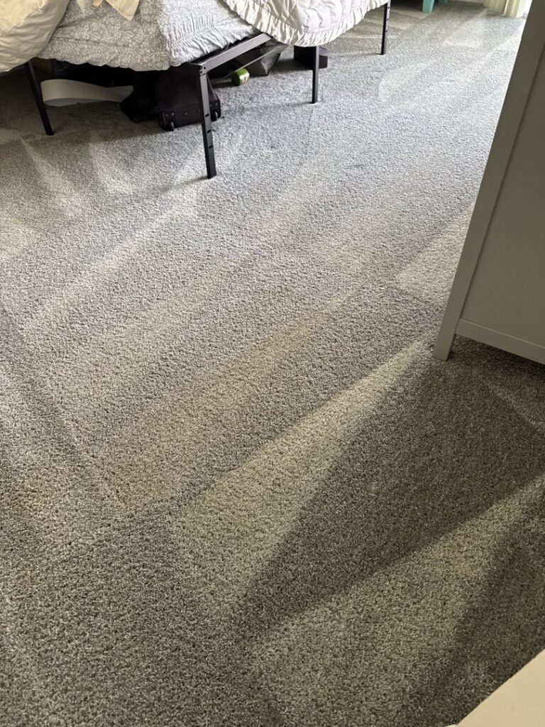 A clean grey carpet showing distinct cleaning lines after service by Tampa Steam Team in Plant City, FL.