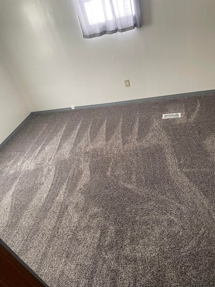 A clean grey carpet showing distinct vacuum lines after service by Nick's Carpet Cleaning in Snohomish, WA.