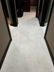 A professionally cleaned, light-colored carpet in a residential hallway by Advanced Floor Cleaning, Inc. in Elgin, IL