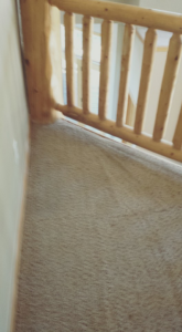 A clean hallway carpet after restoration by Carpetco Restoration in Thornton, CO