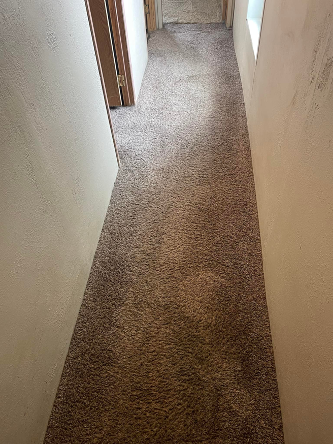 A clean brown carpet in a hallway, showcasing the results of Nick's Carpet Cleaning in Snohomish, WA.