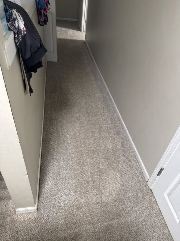 A freshly cleaned, light-colored carpet in a hallway by Sam I Am Carpet Cleaning in Rossville, IN