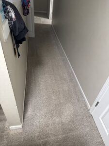 Clean hallway carpet after professional cleaning service from Sam I Am Carpet Cleaning in Rossville, IN.