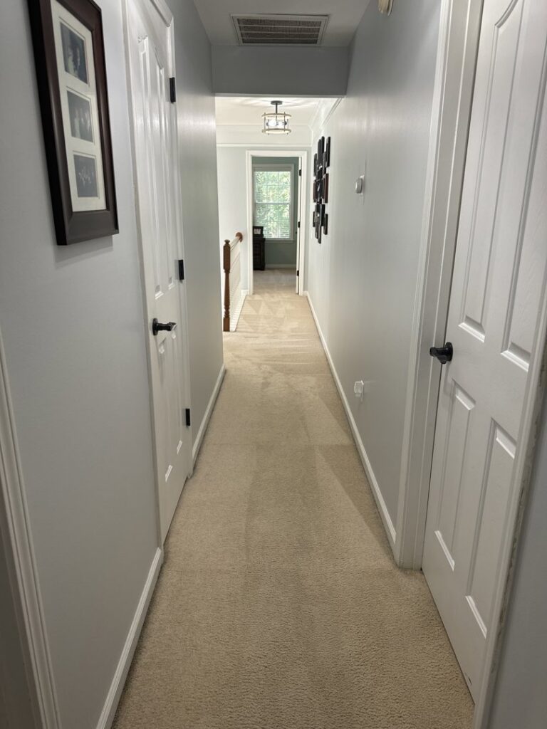 A clean beige carpet in a hallway showing distinct cleaning lines from Zerorez Columbia in Columbia, SC.
