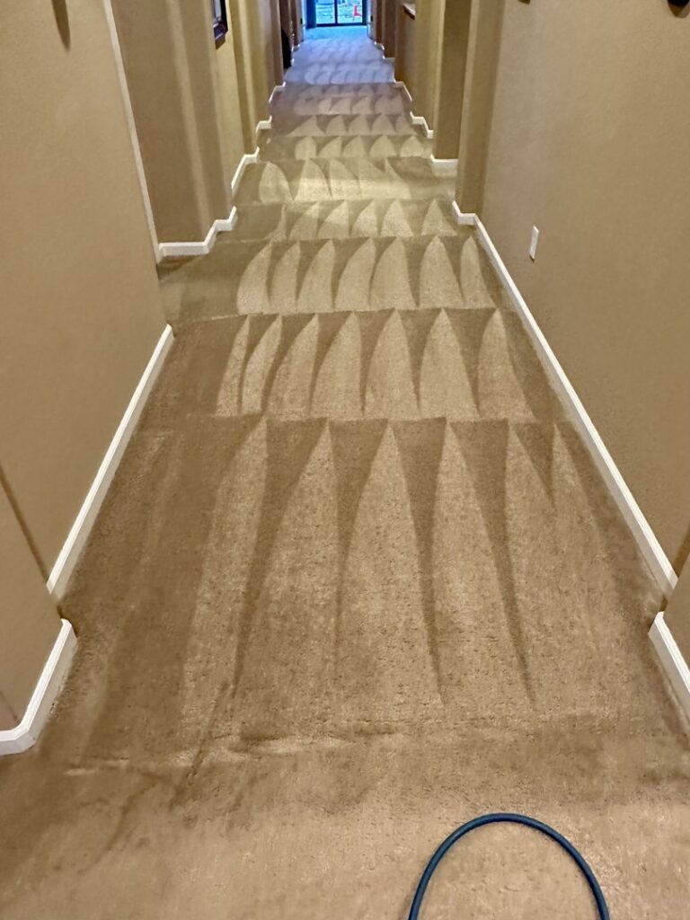 A long hallway carpet freshly cleaned with clear patterns, demonstrating the work of Hi-Tech Carpet Cleaning in Elk Grove, CA.