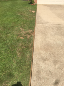A clean and precise lawn edge along a concrete driveway, demonstrating quality work by Taylor Cutts lawn Care Service llc in Shreveport, LA