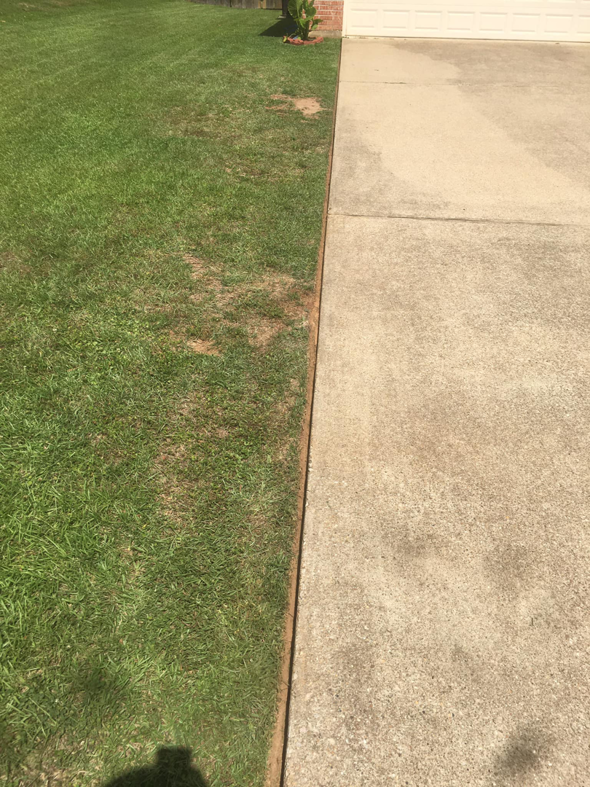 A clean and precise lawn edge along a concrete driveway, demonstrating quality work by Taylor Cutts lawn Care Service llc in Shreveport, LA