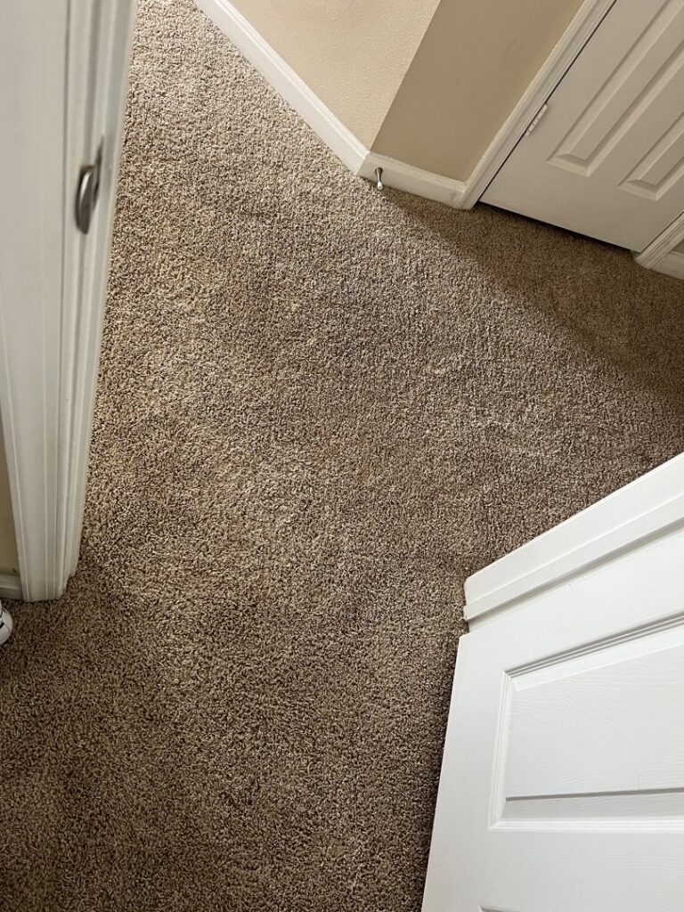 A clean, light brown carpet in a hallway, showcasing a successful cleaning service by Hippo Cleaning Services in Rockville, MD.