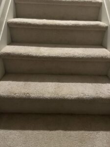 A clean, light-colored carpeted staircase, ready for use after professional service from JDog Carpet Cleaning & Floor Care Alpharetta in Roswell, GA.