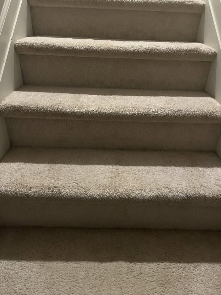 A clean, light-colored carpeted staircase, ready for use after professional service from JDog Carpet Cleaning & Floor Care Alpharetta in Roswell, GA.