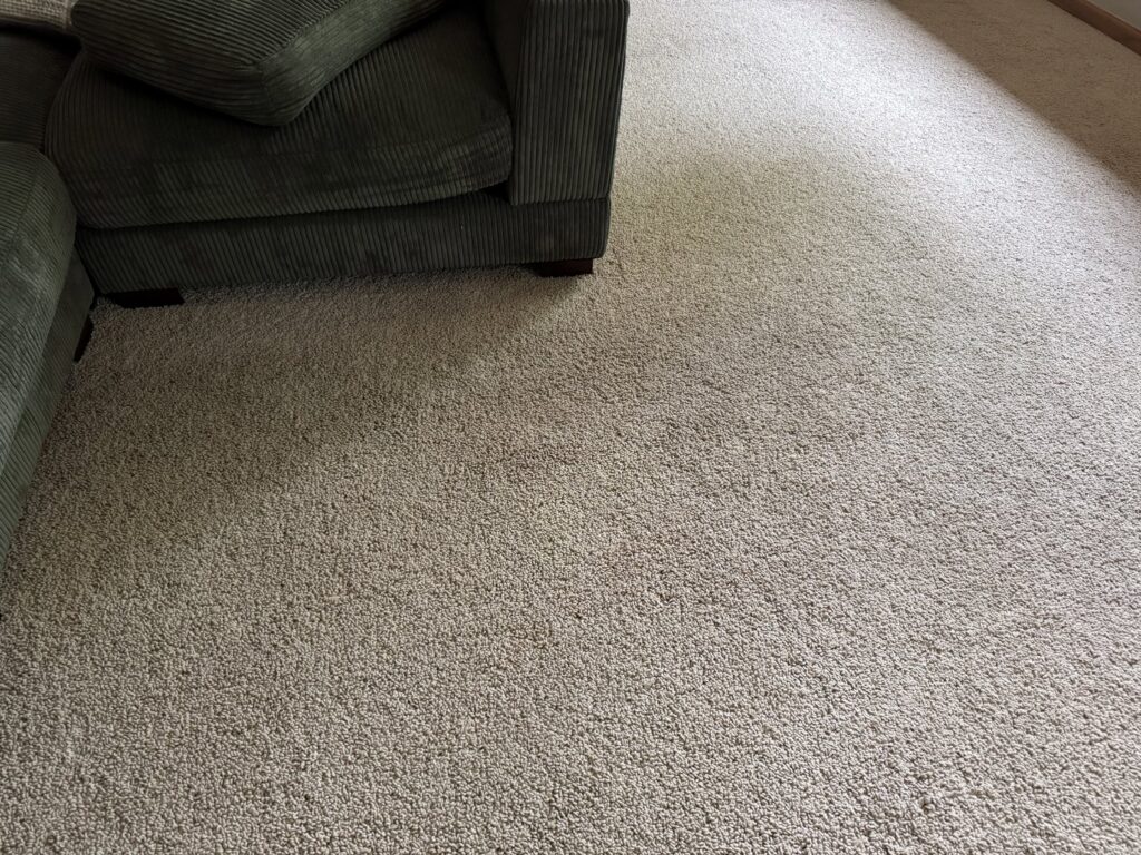A clean light-colored carpet in a room with a sofa after professional service by American Dream Carpet Cleaning in Cedar Rapids, IA.